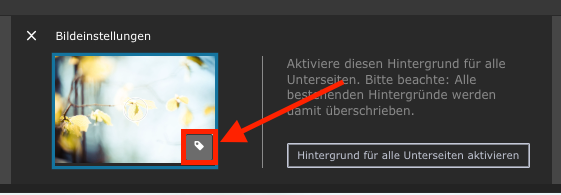 Alternativ-Text-Symbol im Bearbeitungsbereich des Hintergrundbilds, mit rotem Quadrat und rotem Pfeil markiert.
