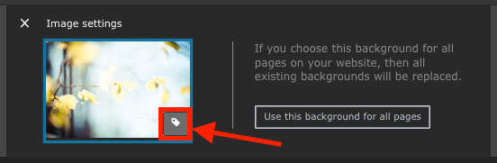 Alt text icon in the background image editing area, highlighted with a red square and red arrow.