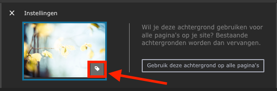 Alt-tekstpictogram in het bewerkingsgebied van de achtergrondafbeelding, gemarkeerd met een rood vierkant en een rode pijl.