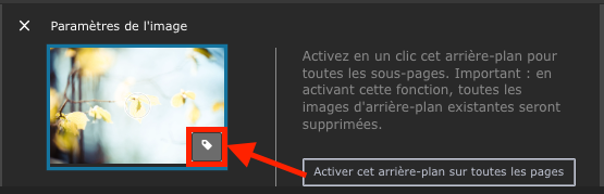 Icône de texte alternatif dans la zone d’édition de l’image d’arrière-plan, mise en évidence par un carré rouge et une flèche rouge.