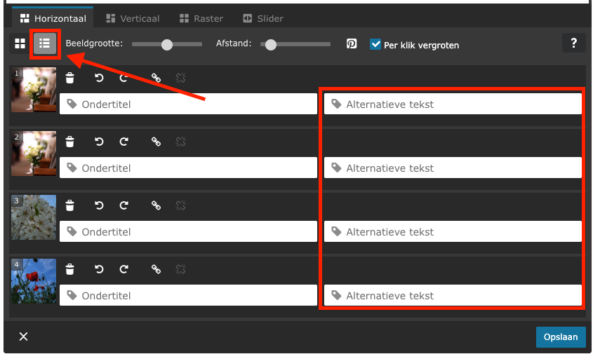 Lijstpictogram in het bewerkingsmenu van de Afbeeldingen Galerij, evenals het gemarkeerde gebied rond de invoervelden voor de alternatieve tekst, elk gemarkeerd met een rood kader en een rode pijl.