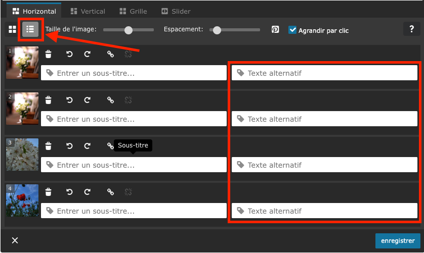 Icône de liste dans le menu d’édition de la galerie d’images, ainsi que la zone mise en évidence autour des champs de saisie du texte alternatif, chacun marqué par un cadre rouge et une flèche rouge.